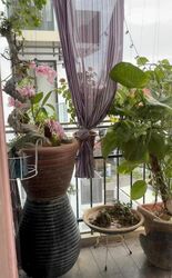 The Urbanite (D8), Apartment #454892961